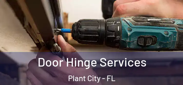 Door Hinge Services Plant City - FL