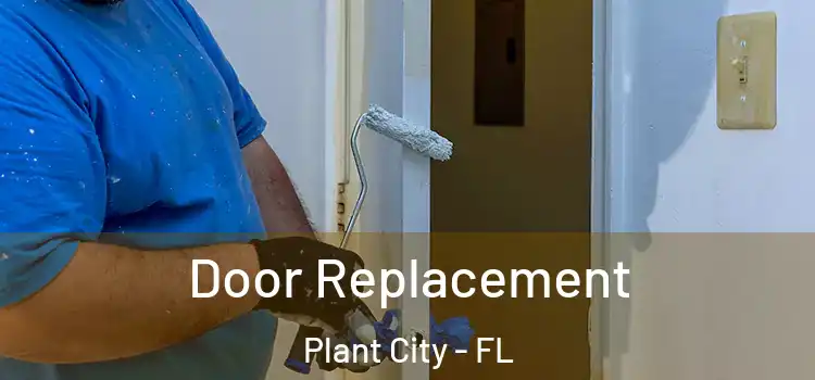 Door Replacement Plant City - FL