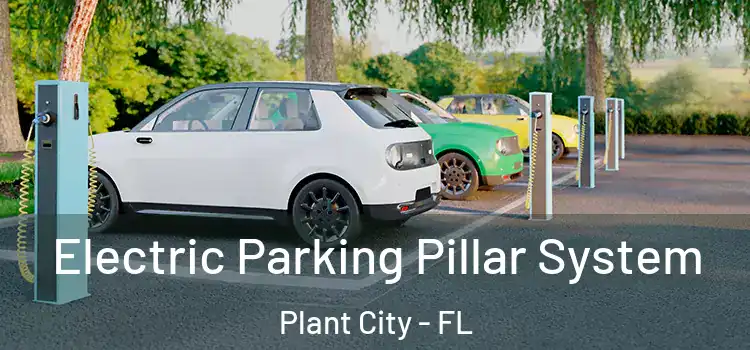 Electric Parking Pillar System Plant City - FL