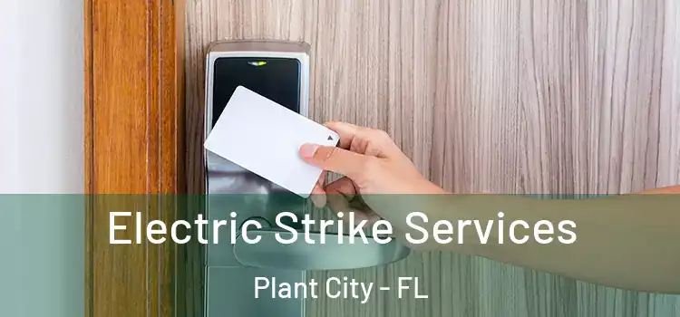 Electric Strike Services Plant City - FL
