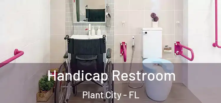 Handicap Restroom Plant City - FL