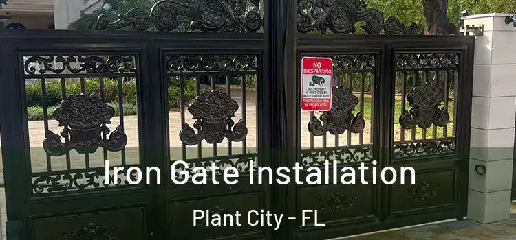 Iron Gate Installation Plant City - FL