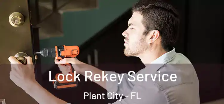 Lock Rekey Service Plant City - FL
