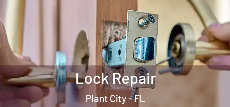 Lock Repair Plant City - FL
