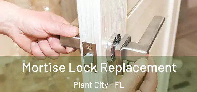 Mortise Lock Replacement Plant City - FL