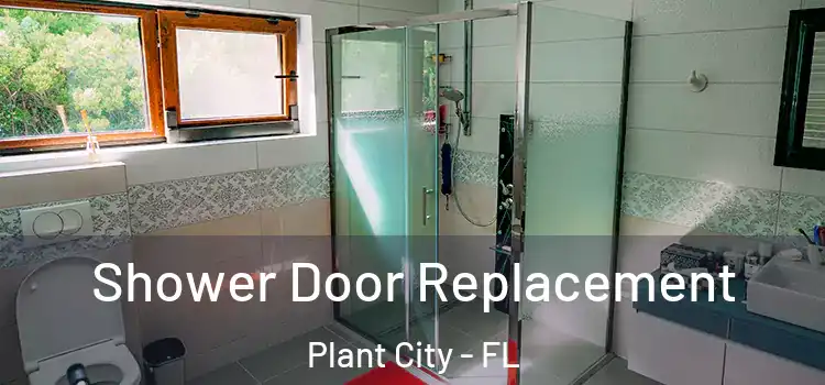 Shower Door Replacement Plant City - FL