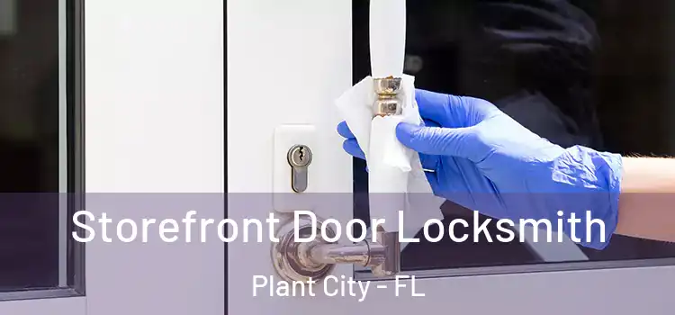 Storefront Door Locksmith Plant City - FL